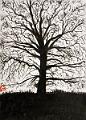 encre de chine_0002